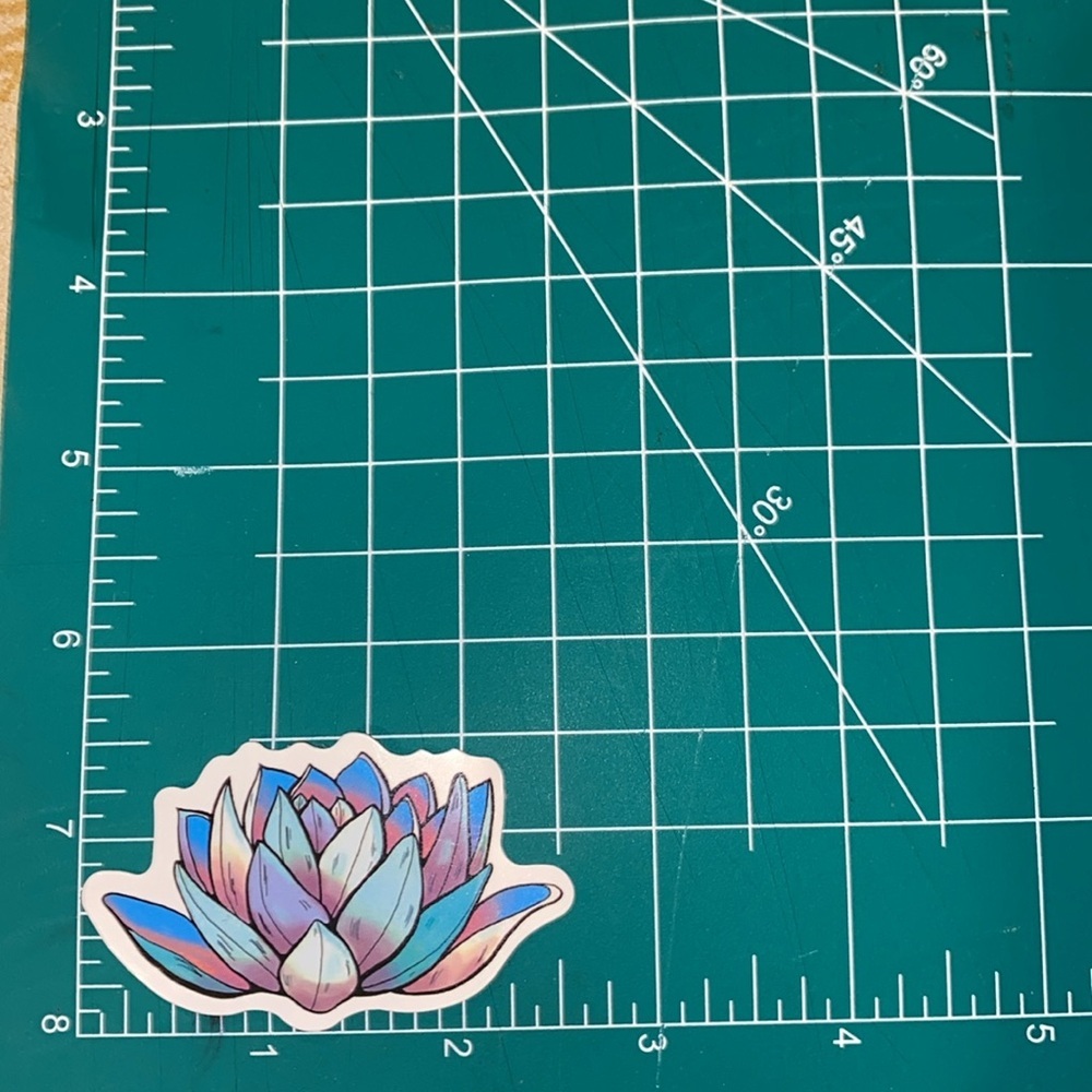 🌈20/$5🌈 Multicolor Succulent Sticker - Picture 2 of 3